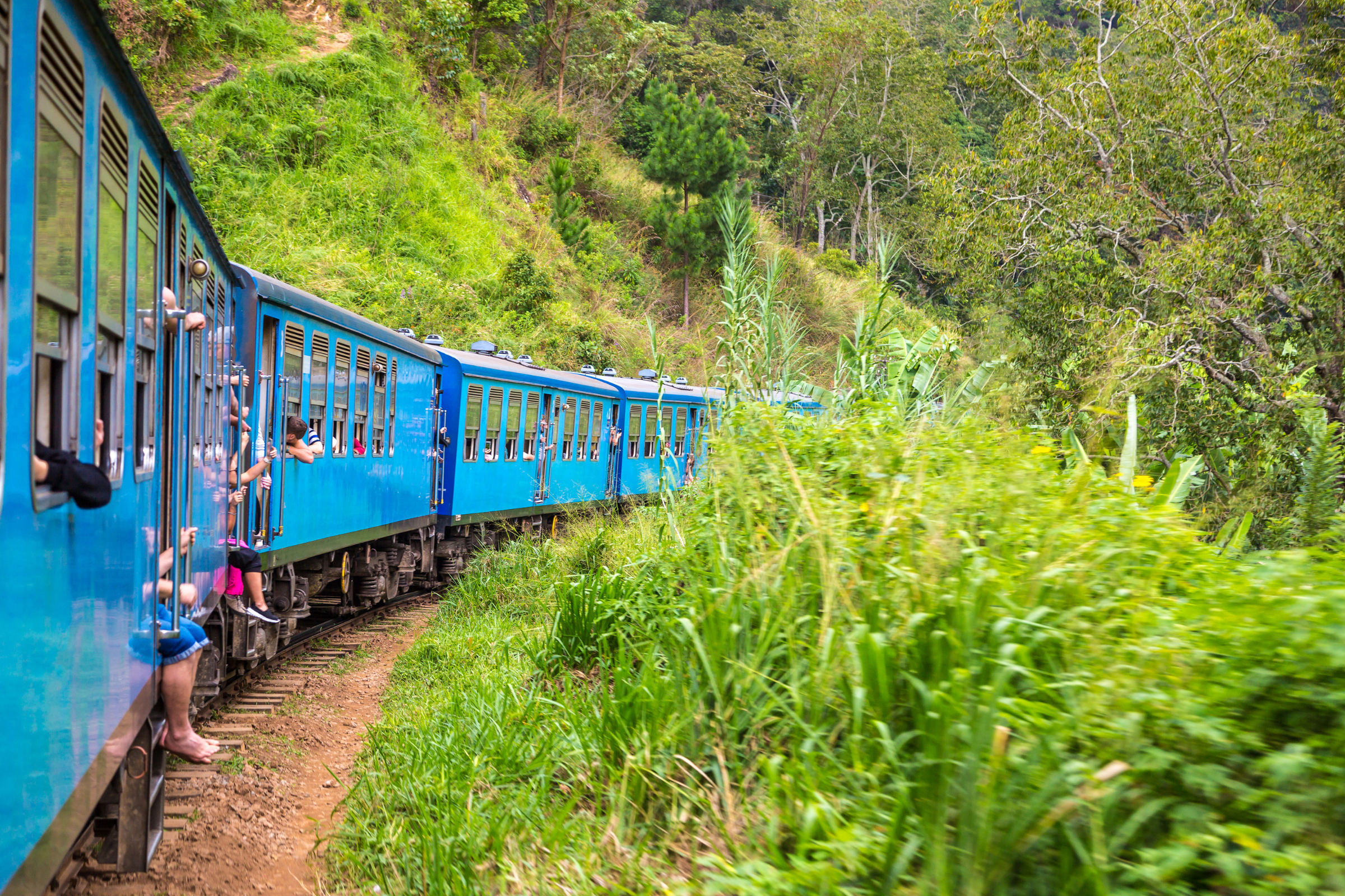 nuwara eliya (sri lanka) (2).webp